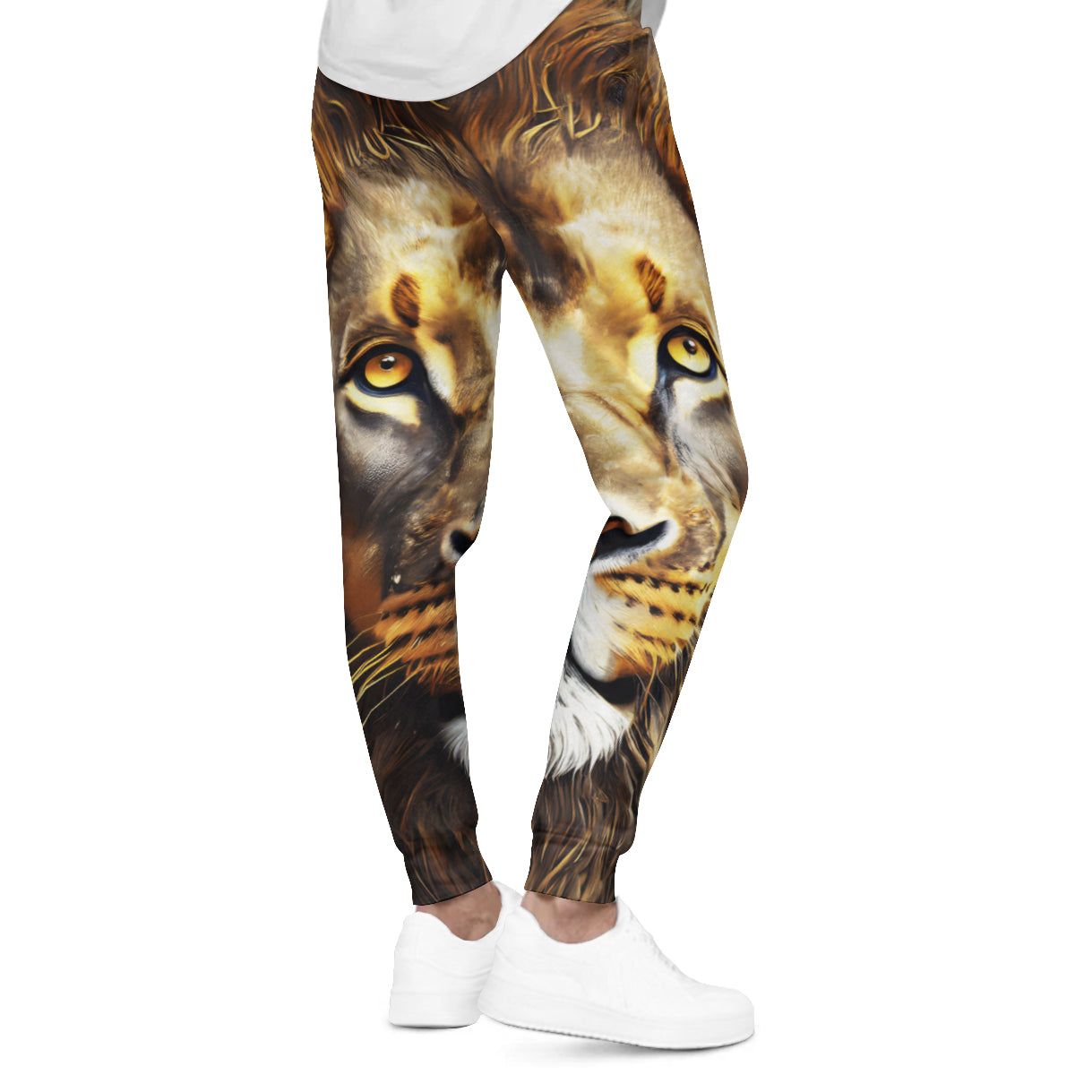 Lion Men's Adult Hoodie Set (Double-Layer Hood) | Health Fabric