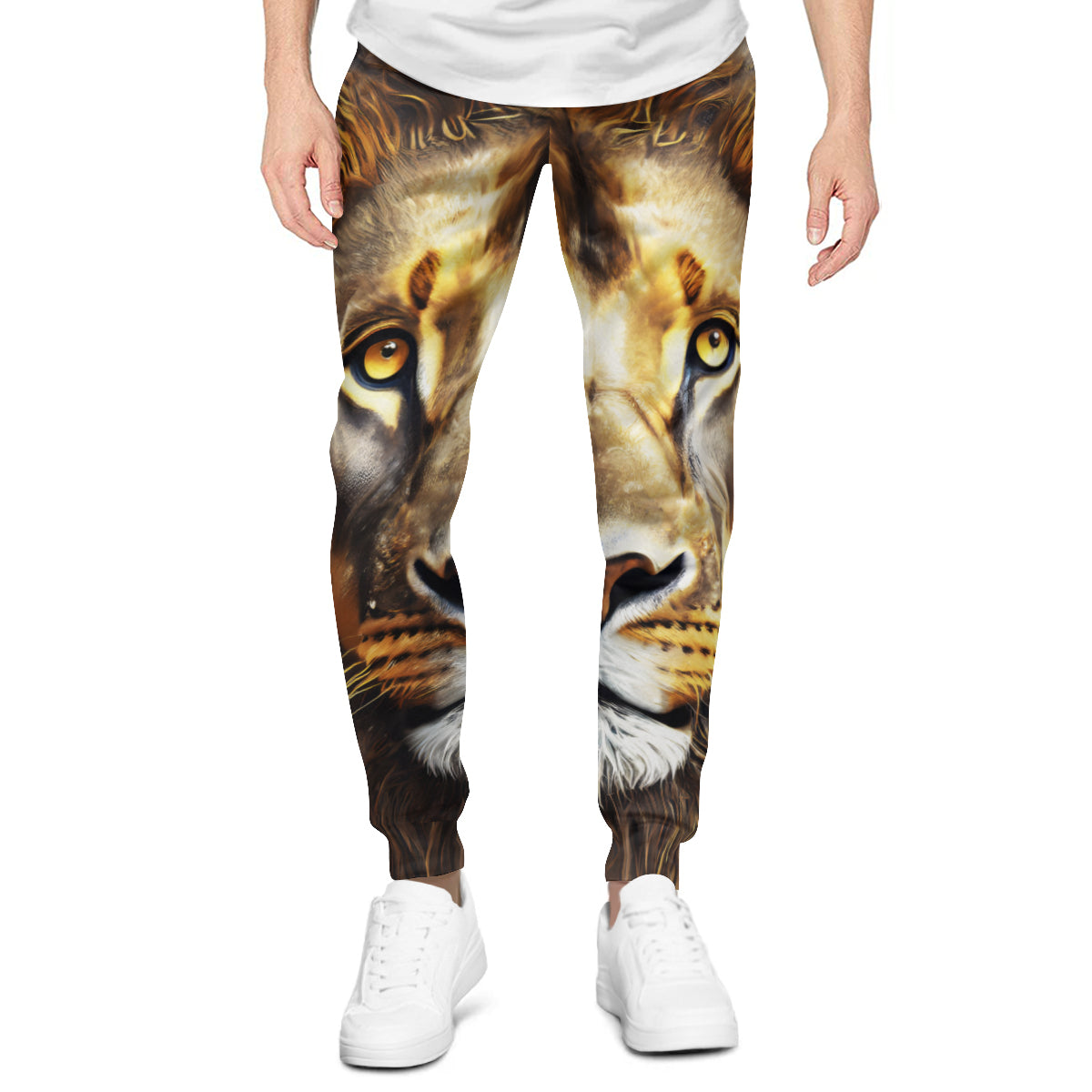 Lion Men's Adult Hoodie Set (Double-Layer Hood) | Health Fabric